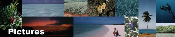 Title board of pictures page 