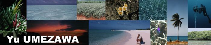 Yu UMEZAWA top page